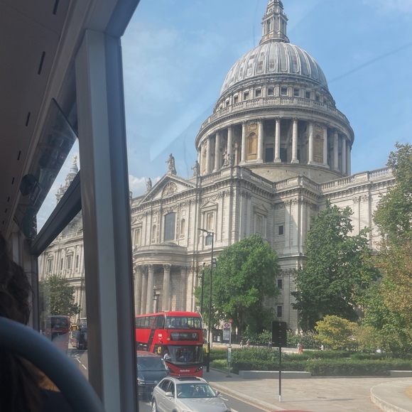 Meet your Posher, Daisy - Picture 6 of 7